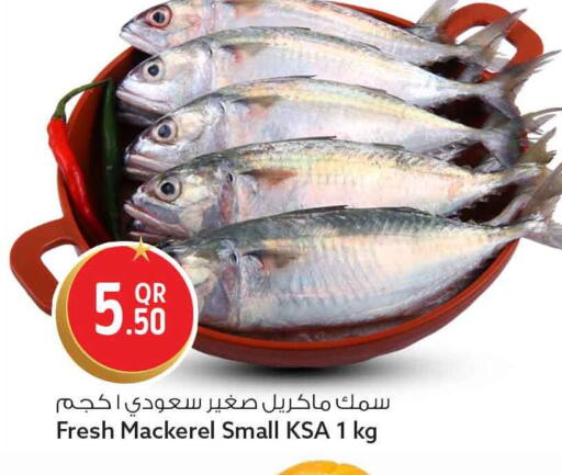 available at Safari Hypermarket in Qatar - Doha