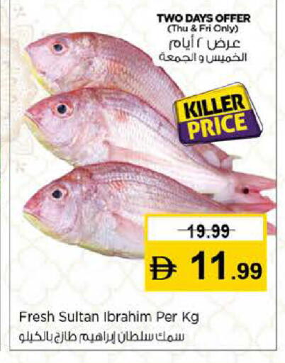 available at نستو هايبرماركت in الإمارات العربية المتحدة , الامارات - دبي