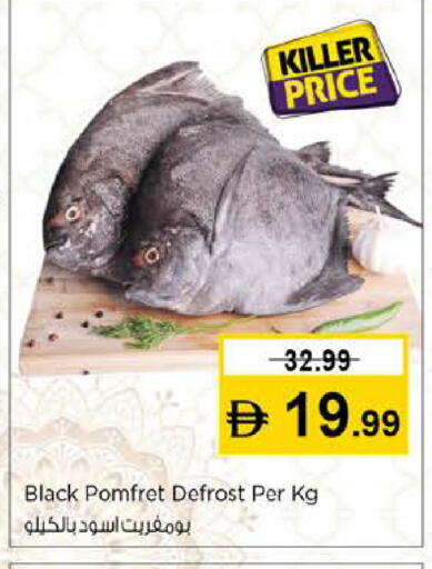 available at نستو هايبرماركت in الإمارات العربية المتحدة , الامارات - دبي