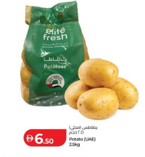 Potato available at Lulu Hypermarket in UAE - Abu Dhabi
