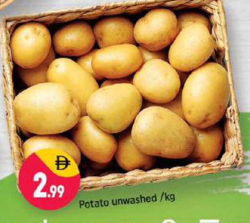 Potato available at Shaklan  in UAE - Dubai