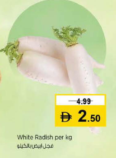 Radish available at نستو هايبرماركت in الإمارات العربية المتحدة , الامارات - دبي