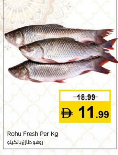 available at Nesto Hypermarket in UAE - Fujairah