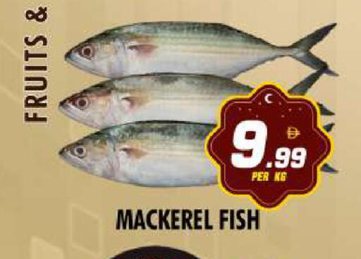 available at نايت تو نايت in الإمارات العربية المتحدة , الامارات - دبي