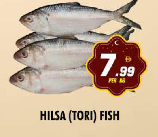 available at نايت تو نايت in الإمارات العربية المتحدة , الامارات - دبي