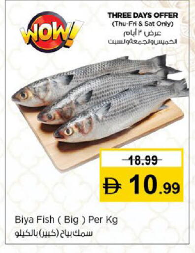 available at نستو هايبرماركت in الإمارات العربية المتحدة , الامارات - ٱلْعَيْن‎