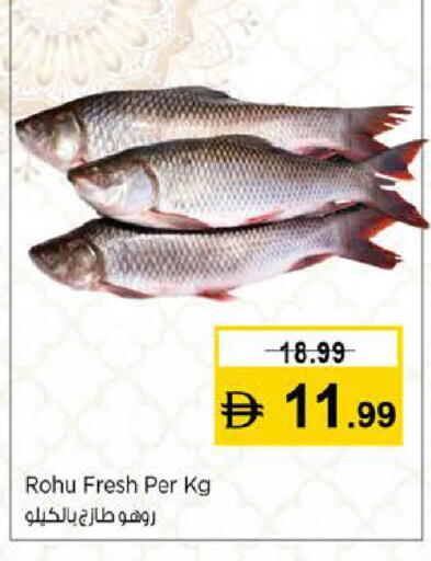 available at نستو هايبرماركت in الإمارات العربية المتحدة , الامارات - دبي