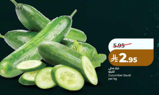 Cucumber from Saudi Arabia available at LULU Hypermarket in KSA, Saudi Arabia, Saudi - Al Hasa
