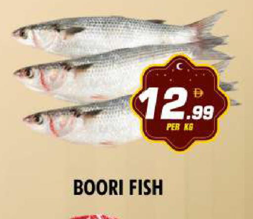 available at نايت تو نايت in الإمارات العربية المتحدة , الامارات - دبي