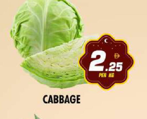 Cabbage available at نايت تو نايت in الإمارات العربية المتحدة , الامارات - دبي