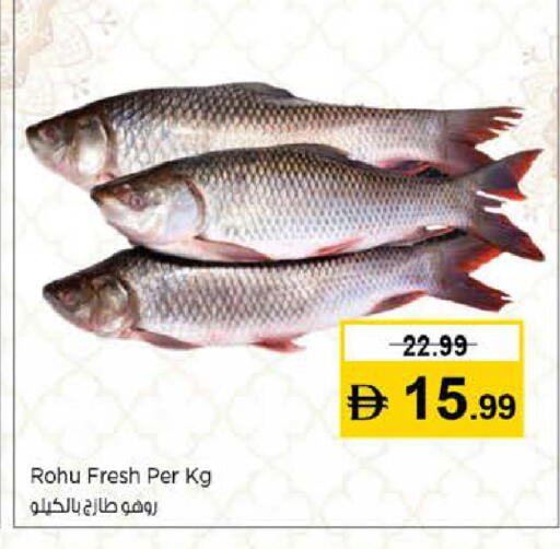 available at نستو هايبرماركت in الإمارات العربية المتحدة , الامارات - دبي