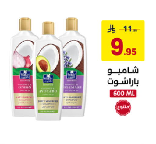 available at على كيفك in مملكة العربية السعودية, السعودية, سعودية - تبوك