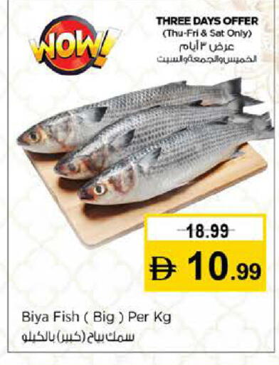 available at نستو هايبرماركت in الإمارات العربية المتحدة , الامارات - دبي