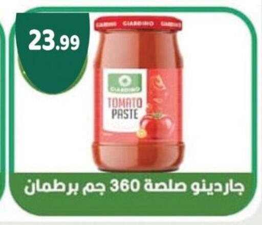 Tomato available at AlSultan Hypermarket in Egypt - Cairo