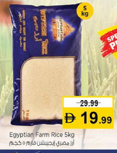 available at نستو هايبرماركت in الإمارات العربية المتحدة , الامارات - ٱلْعَيْن‎