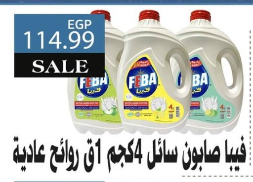 available at AlSultan Hypermarket in Egypt - Cairo