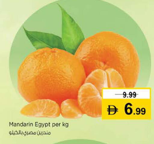Mandarin from Egypt available at نستو هايبرماركت in الإمارات العربية المتحدة , الامارات - دبي