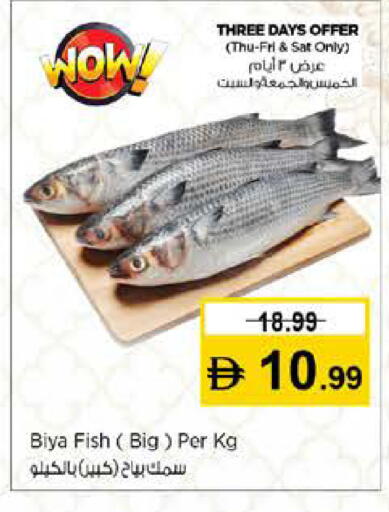 available at نستو هايبرماركت in الإمارات العربية المتحدة , الامارات - رَأْس ٱلْخَيْمَة