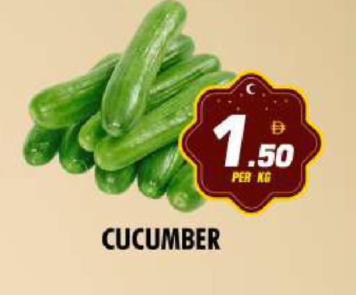 Cucumber available at نايت تو نايت in الإمارات العربية المتحدة , الامارات - دبي