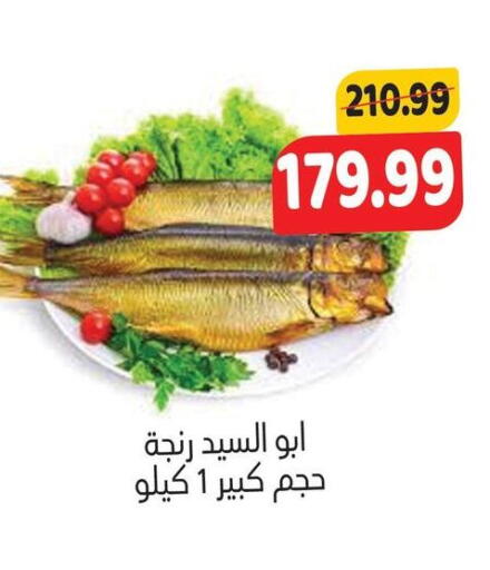 available at AlSultan Hypermarket in Egypt - Cairo
