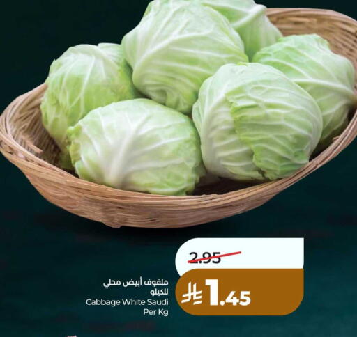 Cabbage from Saudi Arabia available at LULU Hypermarket in KSA, Saudi Arabia, Saudi - Al Hasa