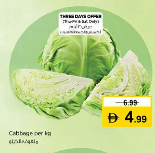 Cabbage available at نستو هايبرماركت in الإمارات العربية المتحدة , الامارات - دبي