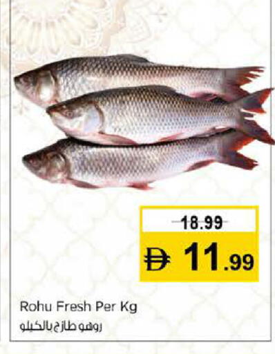 available at نستو هايبرماركت in الإمارات العربية المتحدة , الامارات - دبي