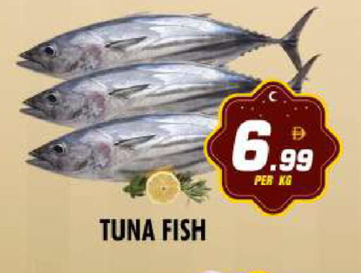 available at نايت تو نايت in الإمارات العربية المتحدة , الامارات - دبي