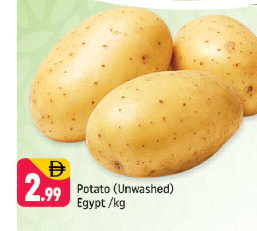 Potato from Egypt available at Shaklan  in UAE - Dubai