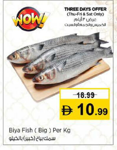 available at نستو هايبرماركت in الإمارات العربية المتحدة , الامارات - دبي