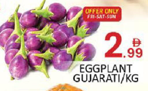 Mango Eggplant available at مانجو هايبرماركت in الإمارات العربية المتحدة , الامارات - رَأْس ٱلْخَيْمَة