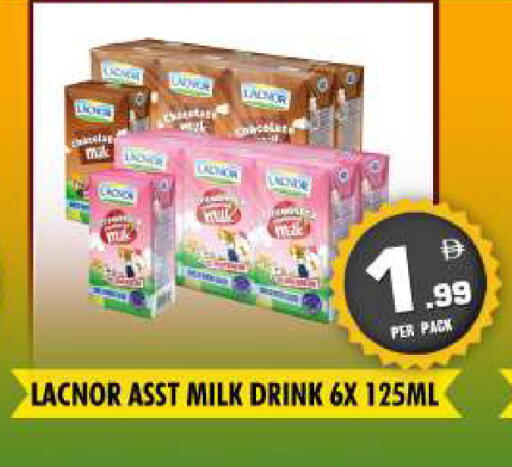 available at نايت تو نايت in الإمارات العربية المتحدة , الامارات - دبي