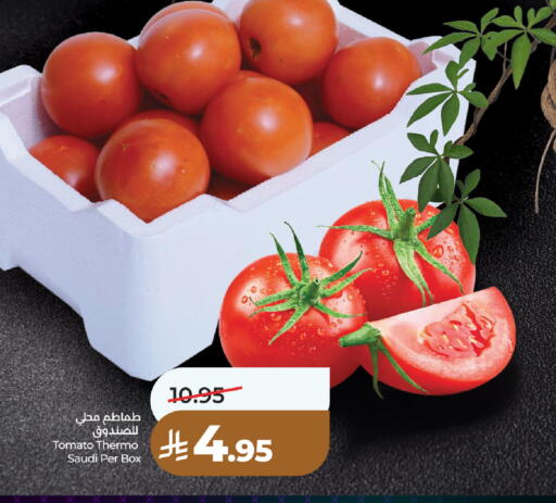 Tomato from Saudi Arabia available at لولو هايبرماركت in مملكة العربية السعودية, السعودية, سعودية - الرياض