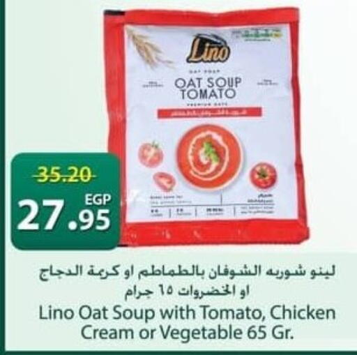 Tomato available at Spinneys  in Egypt - Cairo