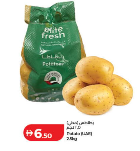 Potato available at Lulu Hypermarket in UAE - Dubai