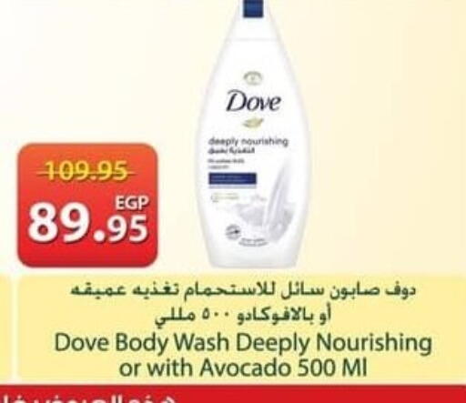 Avocado available at Spinneys  in Egypt - Cairo