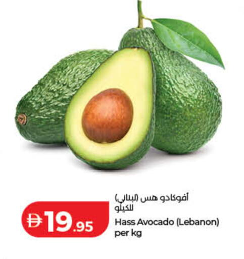 Avocado from Lebanon available at Lulu Hypermarket in UAE - Dubai