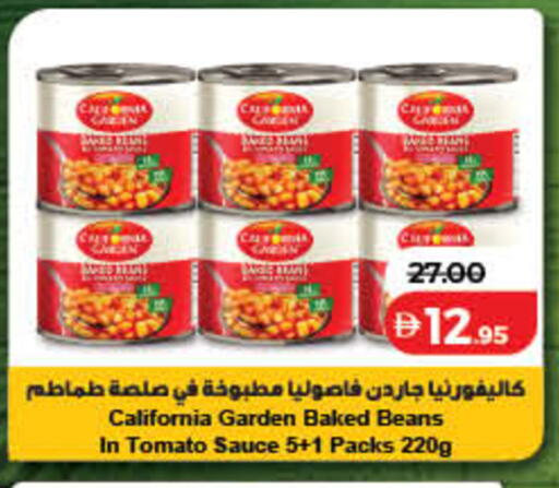 Tomato available at لولو هايبرماركت in الإمارات العربية المتحدة , الامارات - رَأْس ٱلْخَيْمَة
