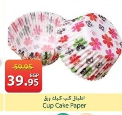available at سبينس in Egypt - القاهرة