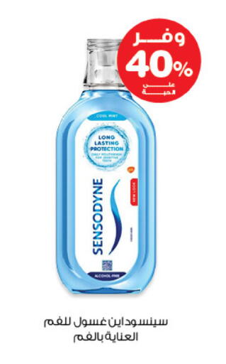 Mint available at صيدليات انوفا in مملكة العربية السعودية, السعودية, سعودية - تبوك