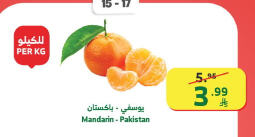 Mandarin from Pakistan available at Al Raya in KSA, Saudi Arabia, Saudi - Ta'if