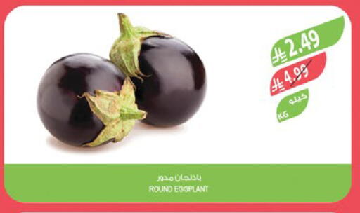 Eggplant available at Farm  in KSA, Saudi Arabia, Saudi - Al Khobar