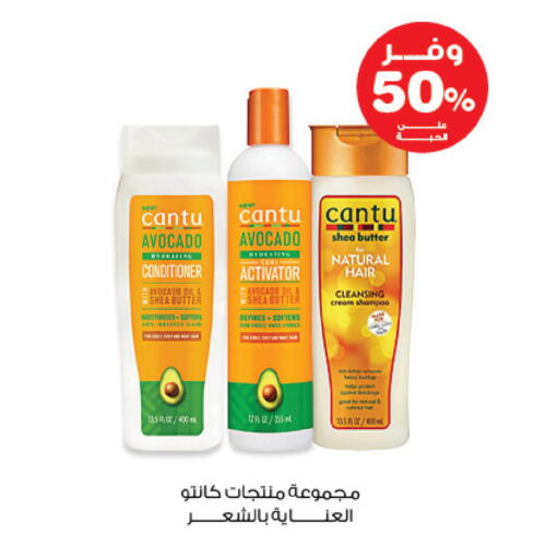 Avocado available at Innova Health Care in KSA, Saudi Arabia, Saudi - Bishah