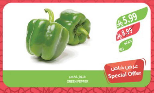 Pepper available at Farm  in KSA, Saudi Arabia, Saudi - Al Khobar