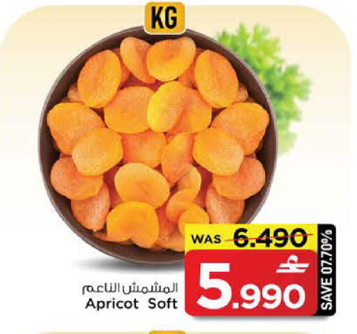 Apricot available at MARK & SAVE in Oman - Sohar