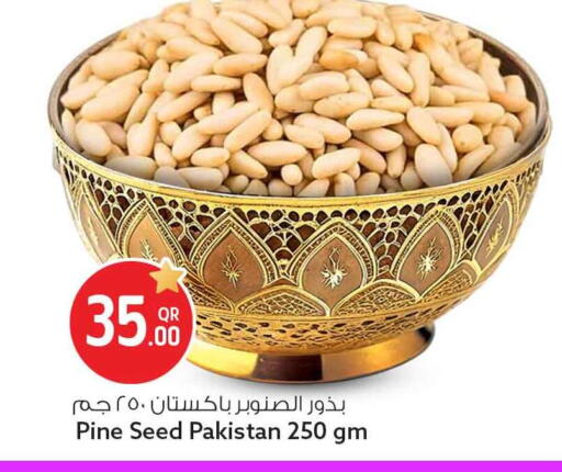 available at سفاري هايبر ماركت in قطر - الخور