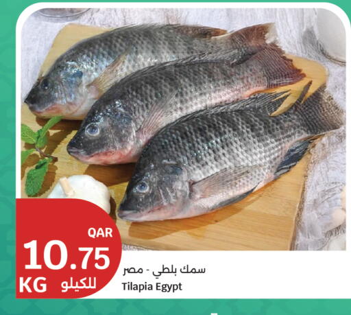 available at City Hypermarket in Qatar - Al-Shahaniya