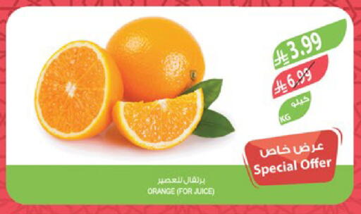Orange available at Farm  in KSA, Saudi Arabia, Saudi - Al Khobar