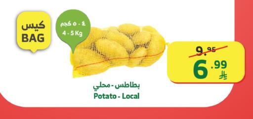 Potato available at الراية in مملكة العربية السعودية, السعودية, سعودية - خميس مشيط