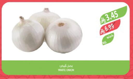 Onion available at Farm  in KSA, Saudi Arabia, Saudi - Al Khobar